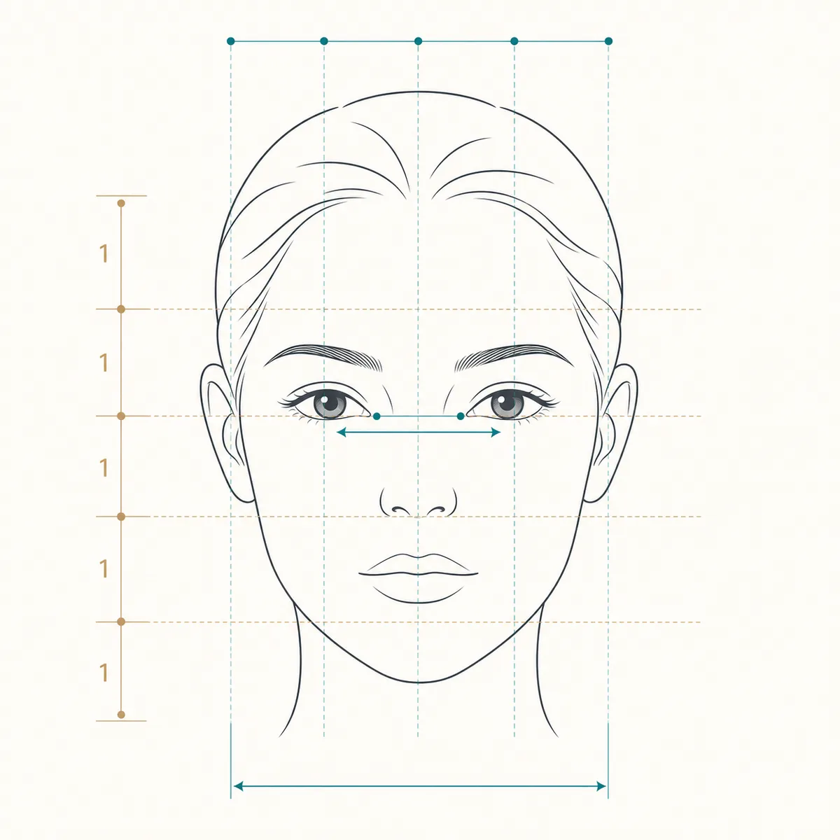 Facial fifths diagram showing vertical columns for feature spacing and face width
