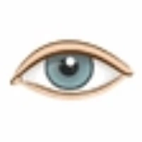Eyes