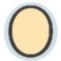 Face Shape
